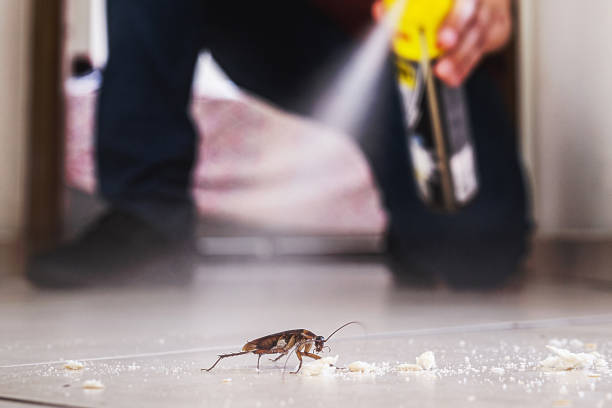 Professional Pest Control in Petoskey, MI